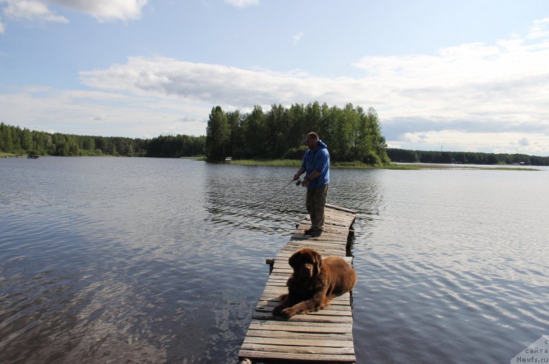 Фотография № 188285