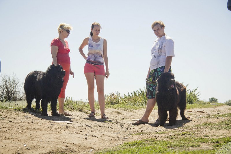 Фото: Tat'yana CHernyavskaya (Татьяна Чернявская), ньюфаундленд CHernyiy Balu Borislav (Черный Балу Борислав), Наташа, Антон, ньюфаундленд CHernyiy Balu Djons (Черный Балу Джонс)