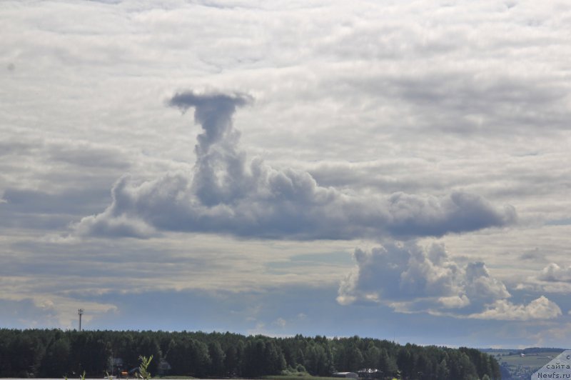 Фотография № 188290