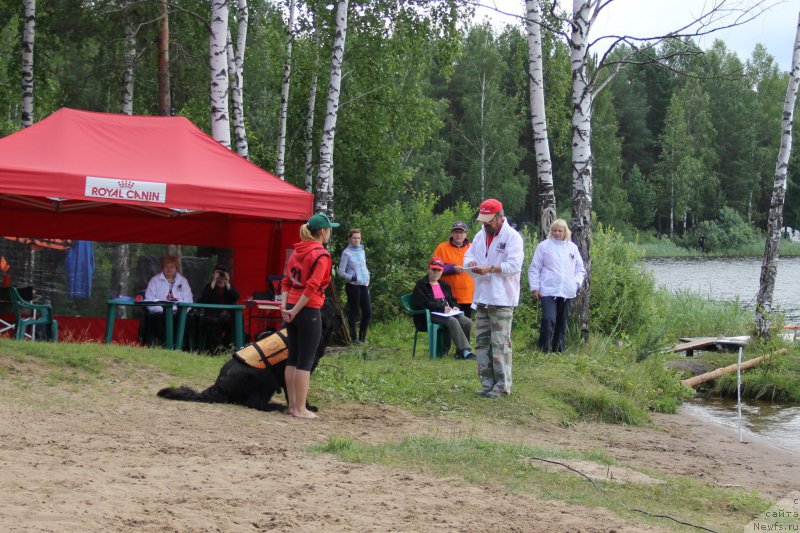 Фотография № 188295