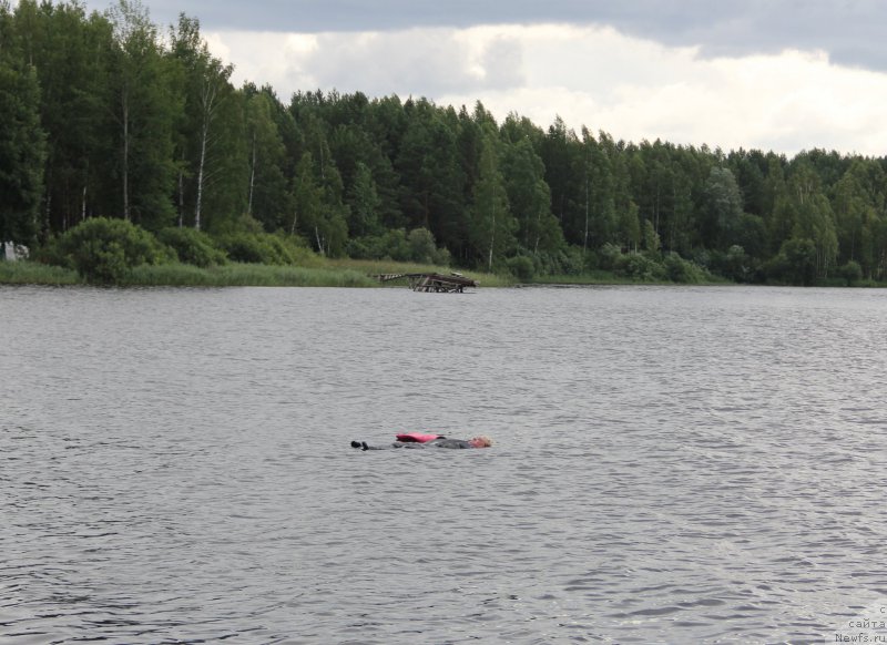 Фотография № 188296