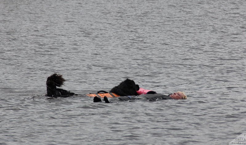 Фотография № 188297