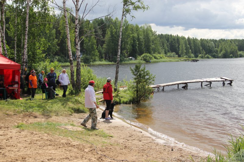 Фотография № 188298