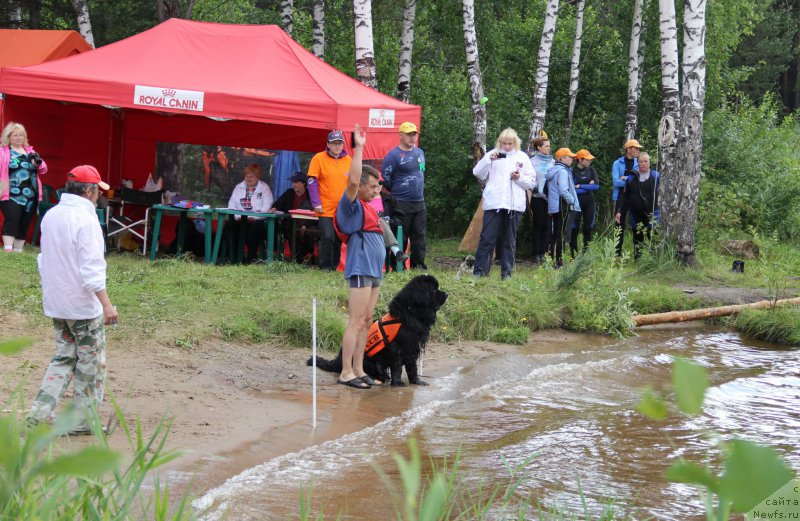 Фотография № 188301