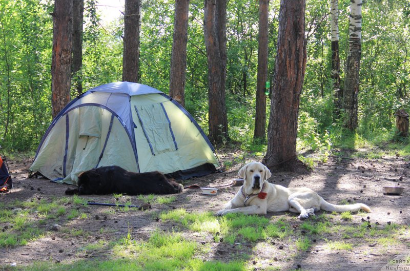 Фотография № 188306