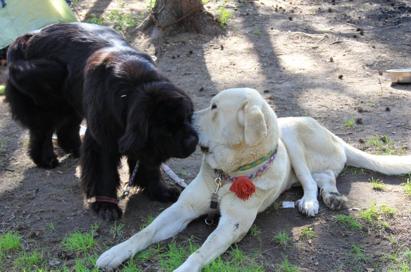 Фотография № 188307