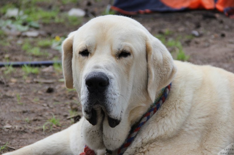 Фотография № 188308