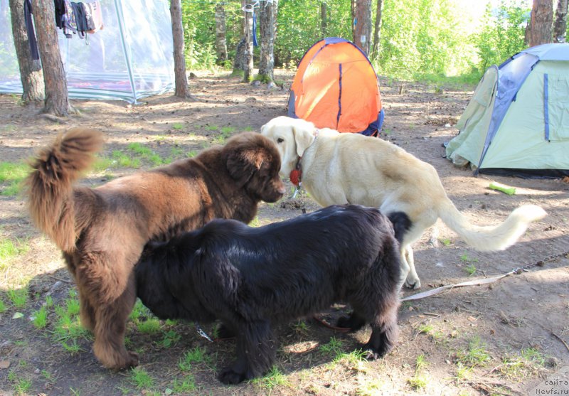 Фотография № 188309