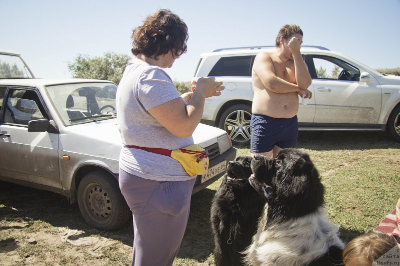 Фото: YUliya Ruzinskaya (Юлия Рузинская), ньюфаундленд CHernyiy Balu Borislav (Черный Балу Борислав), ньюфаундленд Stepnaya Pal'mira Estestvenno YA Luchshiy (Степная Пальмира Естественно Я Лучший)