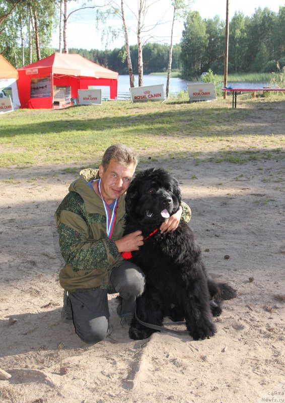 Фотография № 188311