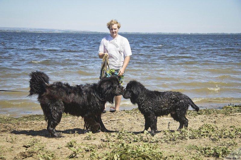 Фотография № 188316