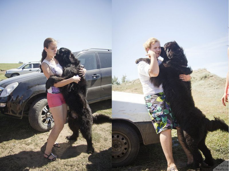 Фото: Наташа, Антон, ньюфаундленд CHernyiy Balu Dobryinya (Черный Балу Добрыня)