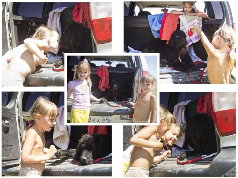 Фотография № 188321