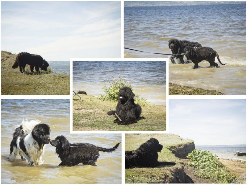 Фотография № 188326