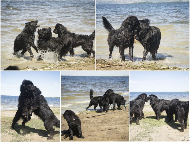 Фотография № 188327