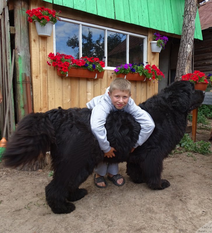 Фотография № 188330