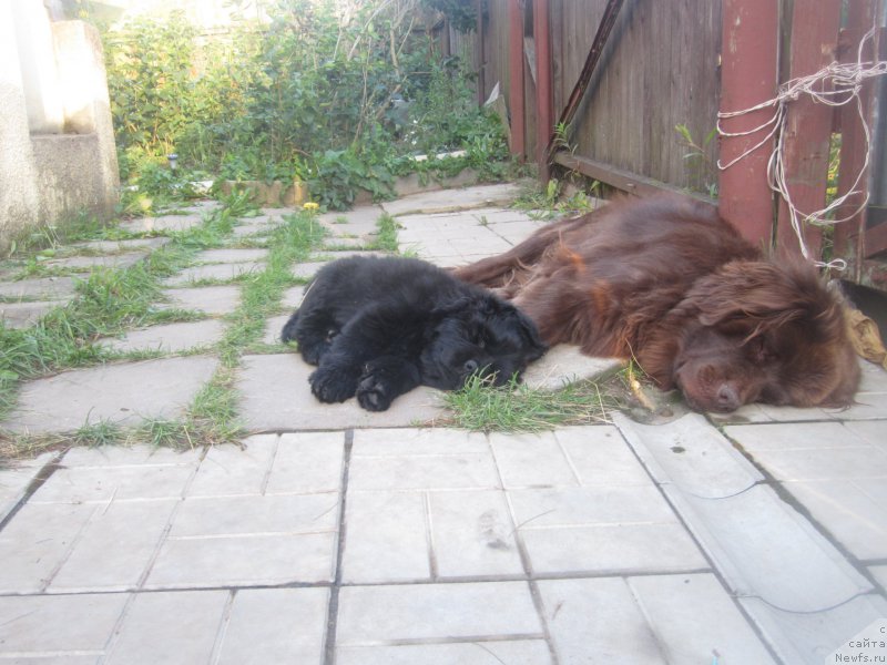 Фото: Natal'ya Smazchikova (Наталья Смазчикова)