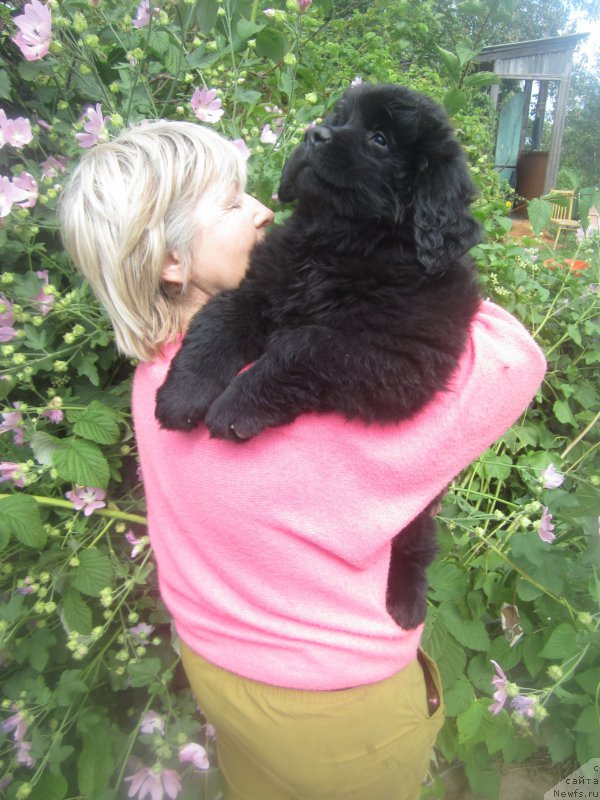 Фото: Natal'ya Smazchikova (Наталья Смазчикова)