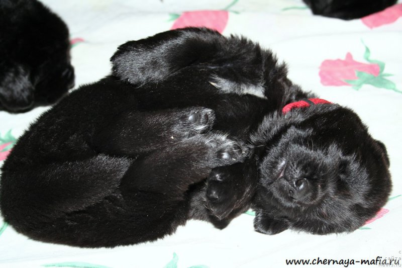 Фотография № 188350