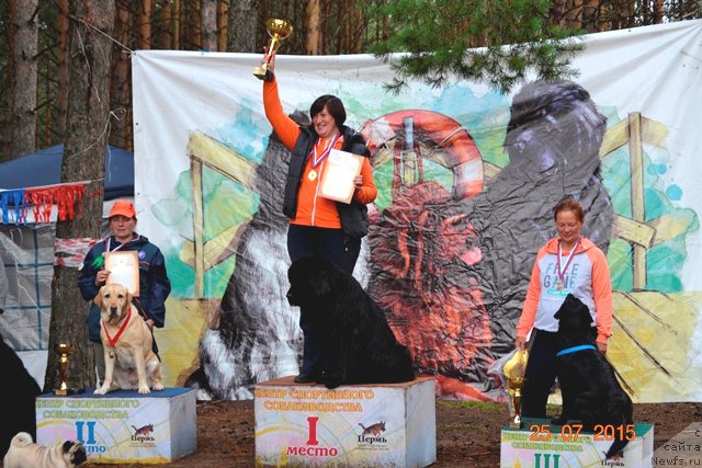 Фото: ньюфаундленд Akvatoriya Kelvin Tim Spirit (Акватория Келвин Тим Спирит), Irina Nazarova (Ирина Назарова)