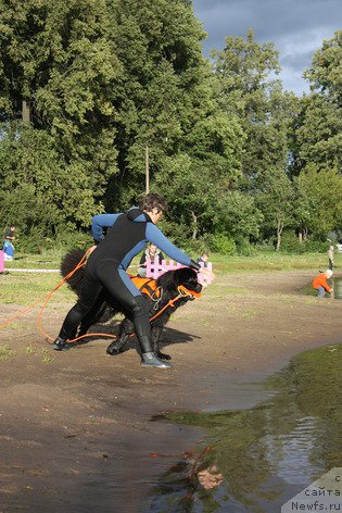 Фотография № 188355