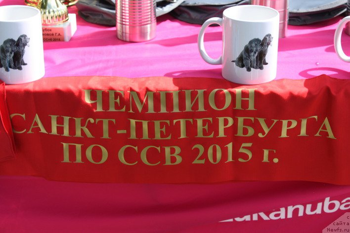 Фотография № 188357