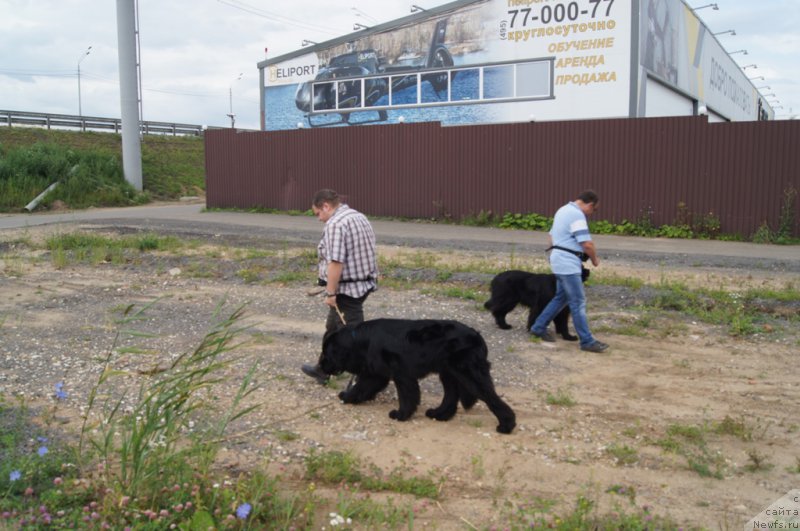 Фотография № 188375