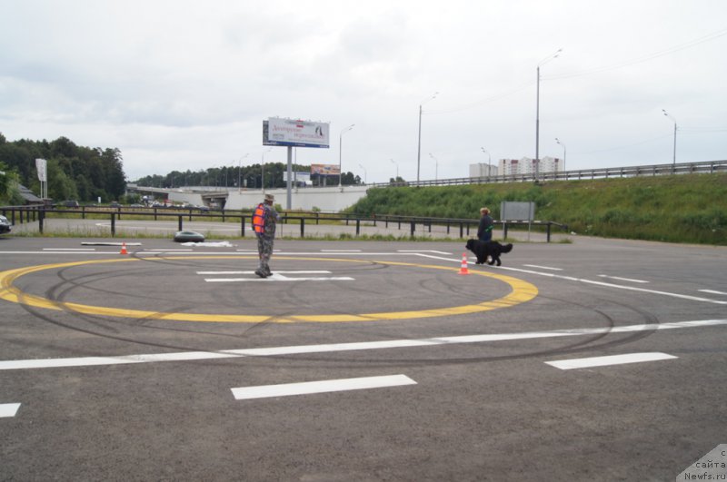 Фотография № 188376