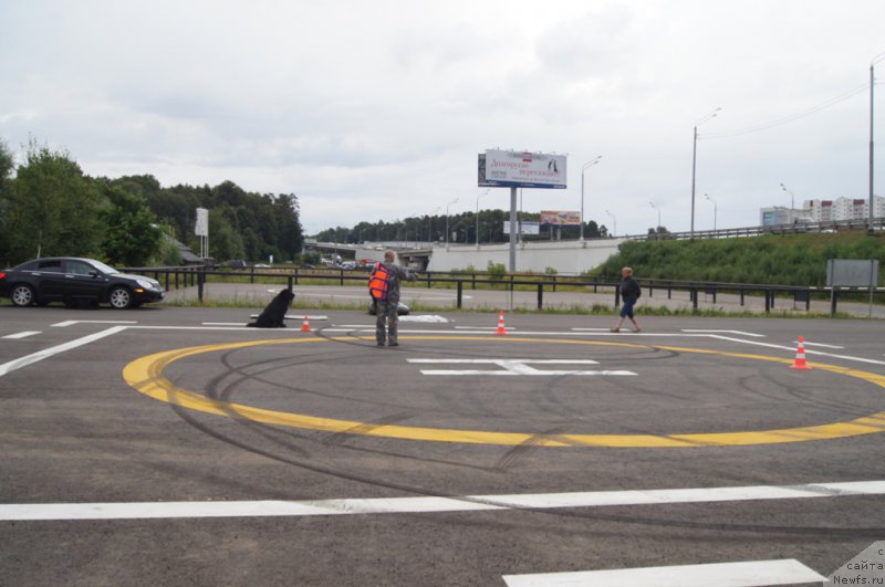 Фотография № 188377