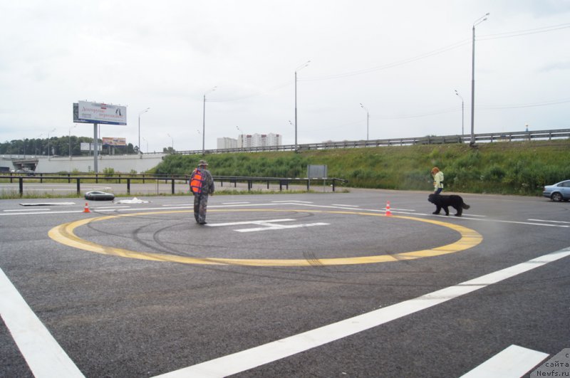 Фотография № 188379