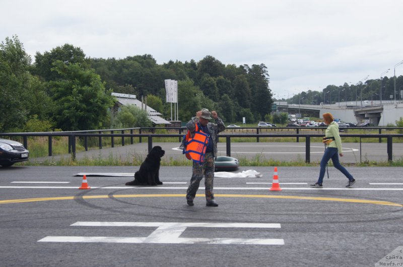 Фотография № 188380