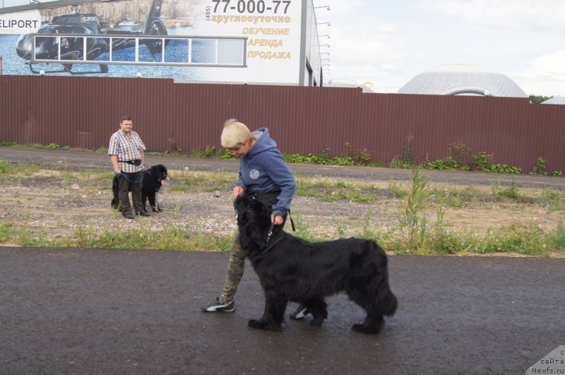 Фотография № 188381