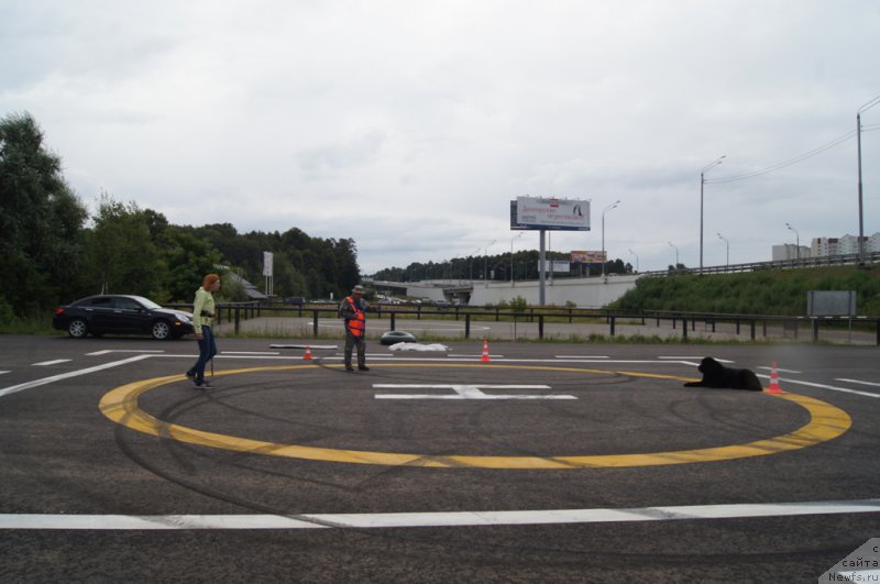 Фотография № 188383