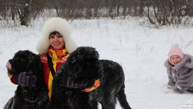 Фото: ньюфаундленд CHernyiy Balu Dobryinya (Черный Балу Добрыня), ньюфаундленд CHernyiy Balu Dyussel'dorf (Черный Балу Дюссельдорф), [p2991] Ульяна