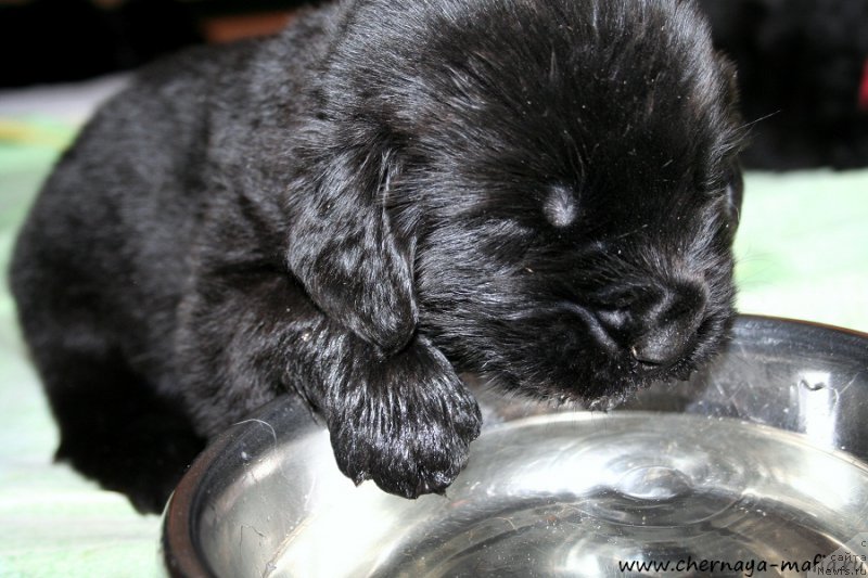 Фотография № 188392