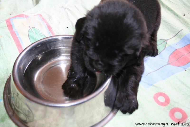 Фотография № 188395