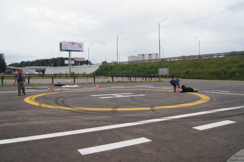 Фотография № 188405