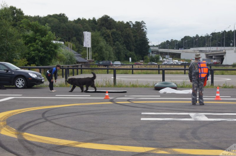 Фотография № 188408