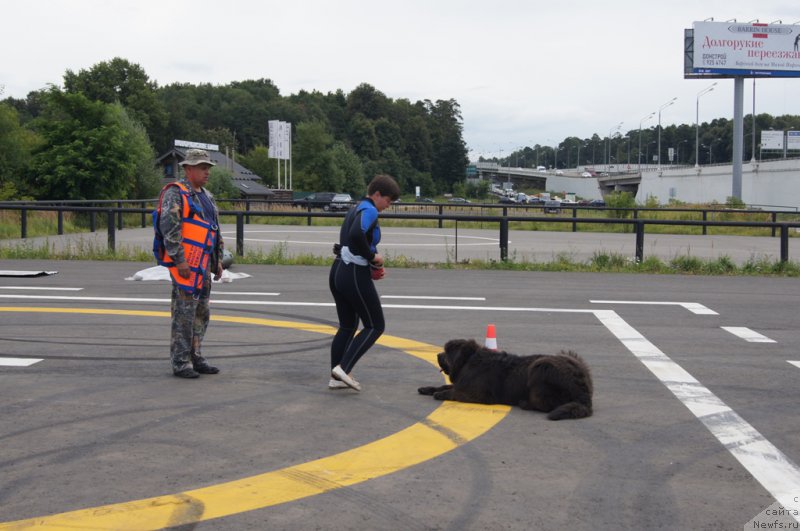 Фотография № 188409