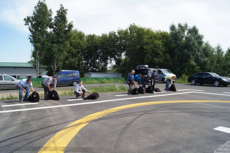 Фотография № 188410