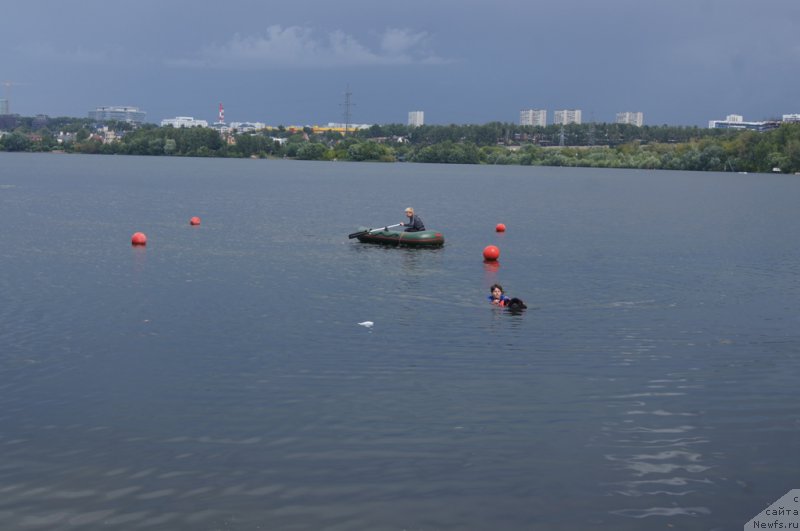 Фотография № 188414