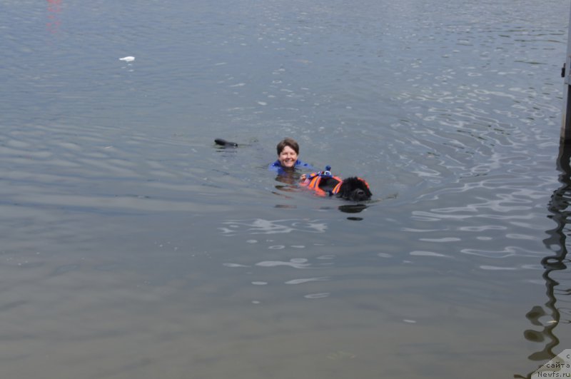 Фотография № 188415