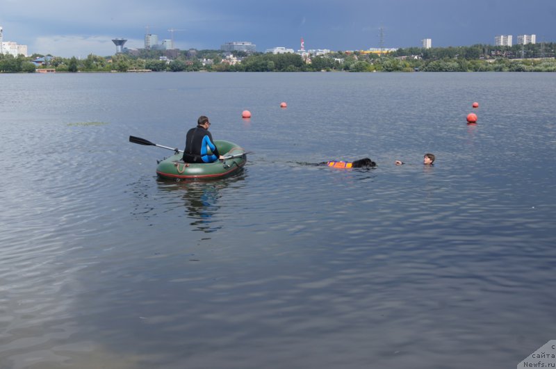 Фотография № 188417