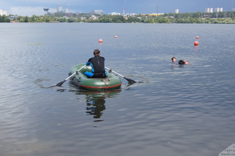 Фотография № 188418