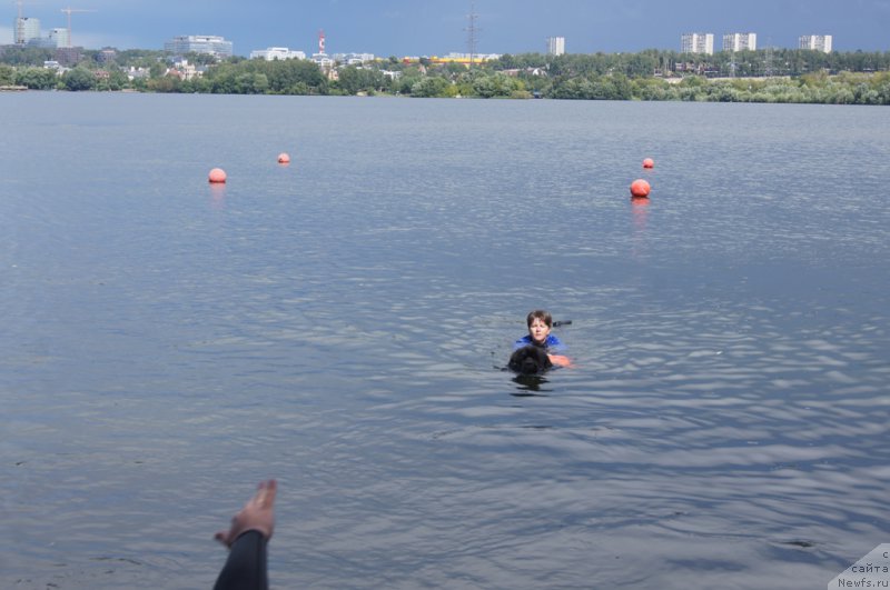 Фотография № 188419