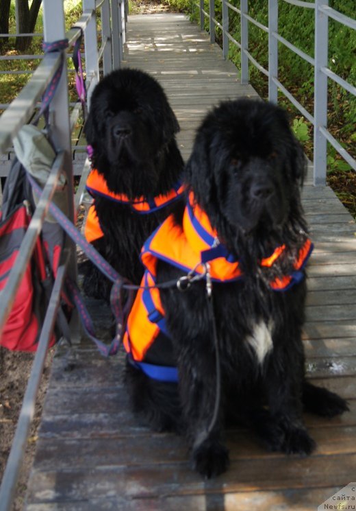 Фотография № 188423