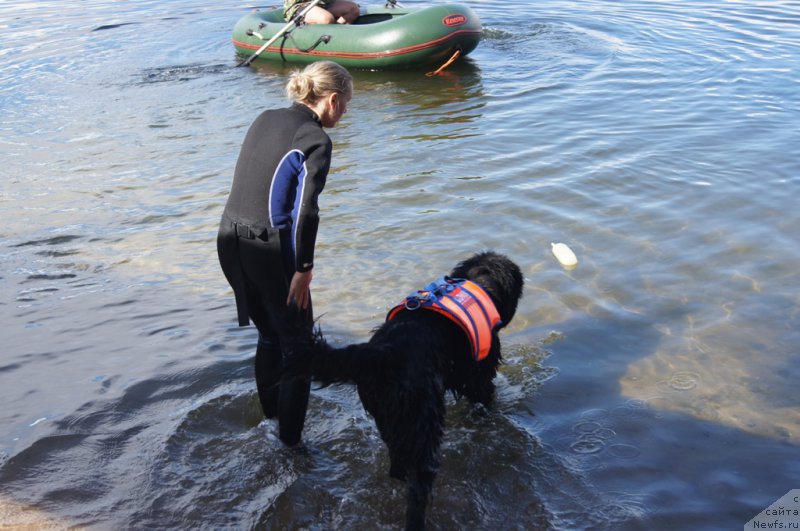 Фотография № 188425