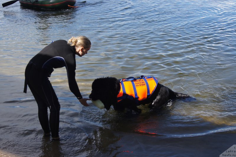 Фотография № 188428