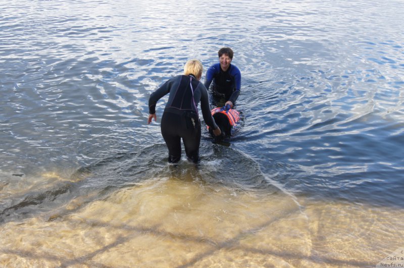 Фотография № 188432