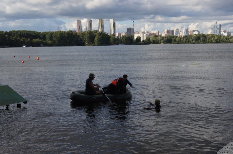 Фотография № 188433